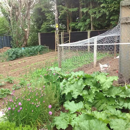 Barrow View Mountmellick