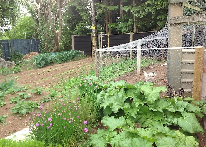 Barrow View Mountmellick