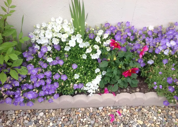 Barrow View Mountmellick